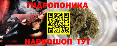 mdpv Можга