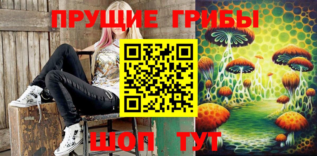 Псилоцибиновые грибы мицелий  Вход с VPN  Геленджик 